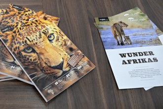 Travel brochures Safari South Africa