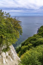 Chalk cliffs of Rügen, Königsstuhl rock formation, in the Jasmund National Park, view of the Baltic