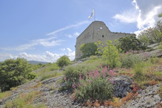 Castle with flag on rocks and Red valerian, Vaison-la-Romaine, Vaucluse, Provence, France, Europe