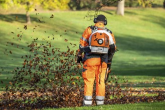 Leaf blower, removal of autumn leaves in a municipal park, Duisburg, North Rhine-Westphalia,