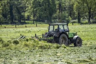 Tractor, mowing grass, turning the grass, near Issum, Lower Rhine, North Rhine-Westphalia, Germany,