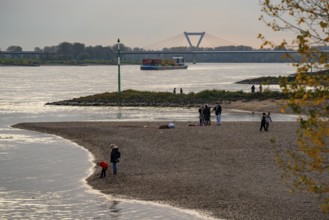 Walkers on the Rhine beach between Düsseldorf and Krefeld, container cargo ship, behind the airport