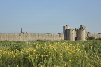 Porte de la Reine, town gate and historic town fortifications with town wall, Aigues-Mortes, Gard,