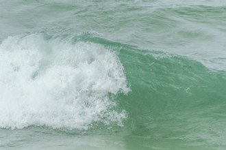 Turquoise blue wave in the Iroise Sea. Camaret, Crozon, Brittany, France, Europe