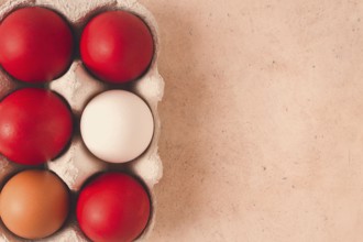 Easter eggs, dark red, magenta, top view, in a paper container, no people