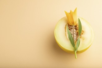 Sliced ripe yellow melon and tulip flower on orange pastel background. Side view, copy space.