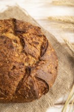 Fresh homemade golden grain bread with ears of wheat and rye on white wooden background and linen