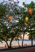 Lamps as evening lighting in a tree, beach, beach promenade, light, lighting, evening, evening