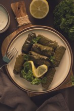 Dolma, cabbage rolls, grape leaves with filling, white sauce, lemon and herbs, rustic, selective