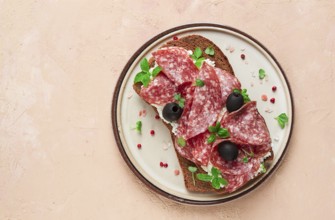 Sandwich, grain bread, with cream cheese and salami, black olives, micro-greens, top view,