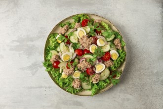 Tuna salad, vegetable salad with quail eggs, lettuce, red onion and cucumbers, on a light gray