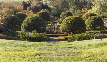 Cottage garden with green lawn, hedges, trimmed bushes and large topiary oak trees, Modern