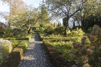 Cottage garden with vines, trees, hedges, trimmed bushes. Modern landscape design