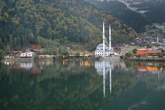 Uzungol mosque reflecting in the lake, Trabzon, Turkey, Asia