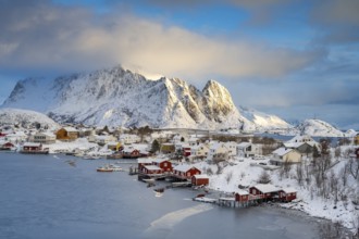 View of the fishing village of Reine, Reinefjord, Lofoten, Norway, Europe