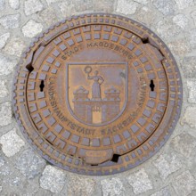 Historical manhole cover with the city Coat of Arms, Dresden, Saxony, Germany, Europe