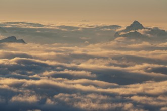 Mountain peaks above high fog, evening light, winter, view from Zugspitze to Hochvogel and Allgäu