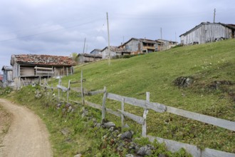 Mountain village on the Karester Yalas plateau, Trabzon, Turkey, Asia