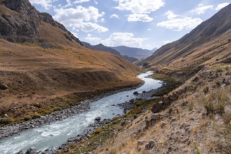 Mountain valley with river between golden meadows, Bolgart Valley, Naryn Province, Kyrgyzstan, Asia