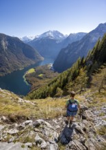 Mountaineers on a mountain hiking trail, Rinnkendlsteig, view of the Königssee, autumn forest and