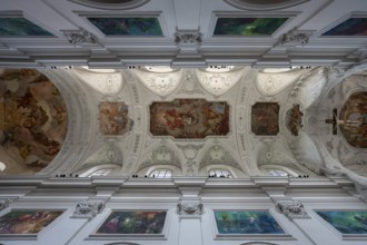 Vaulted ceiling with frescoes, Neumünster, collegiate church, Würzburg, Lower Franconia, Bavaria,