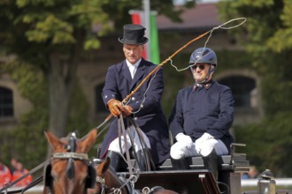 Warendorf State Stud, stallion parade, multi-stallion quadrille, coachman, coach box