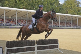 Warendorf State Stud, stallion parade, jumping quadrille