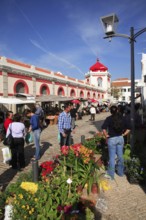 Neomauric market hall in Loule, Algarve, Portugal, Europe