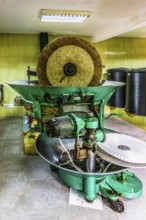 Modern olive oil production, Montenegro, Montenegro, Europe