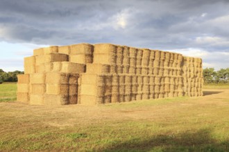 Stacked straw bales in field at Ramsholt, Suffolk, England, UK