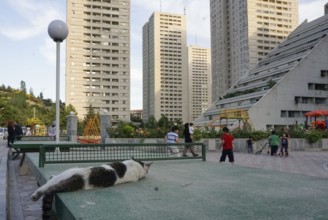 A cat lies on a table tennis table, children play on a playground in a modern housing estate with