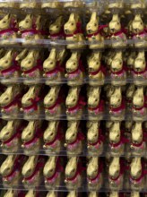 Display in shelf of wholesale of chocolate Easter bunnies Easter bunnies colour gold of red staniol