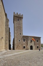 Palacio de las Cigüenas Palace with Spanish National Flag, Plaza de San Pablo, UNESCO Old Town,