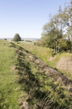 Sidbury Camp or Sidbury Hill Iron Age hill fort, Haxton Down, near Everleigh, Wiltshire, England,