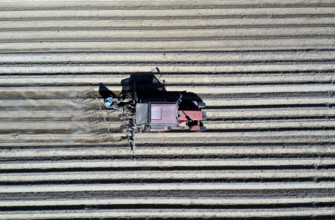 Tractor dragging a plume of dust behind it while working a potato field, Münchenberge, 20/05/2020