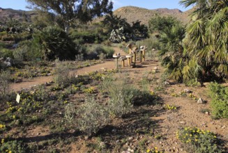 Botanical gardens at Rodalquilar, Cabo de Gata natural park, Almeria, Spain, Europe