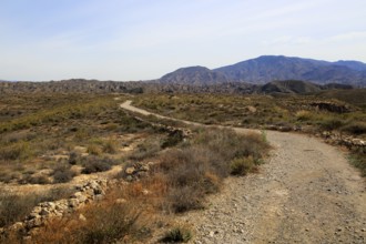 Los Millares prehistoric settlement, Almeria, Spain, Europe