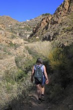 Woman walking Ruta del Agua to Huebro, Sierra Alhamilla mountains, Nijar, Almeria, Spain, Europe