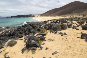 Sandy beach Playa de las Conchas, Graciosa island, Lanzarote, Canary Islands, Spain, Europe