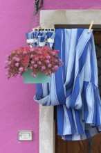 Flowers and curtain on the door of a house in Burano, Veneto, Italy, Europe