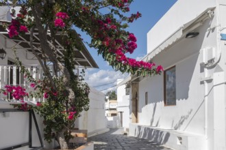 Old town alley in Lindos, Rhodes, Dodecanese archipelago, Greek islands, Greece, Europe