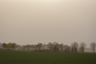 Large quantities of Sahara dust obscure the sun, Cunnersdorf, Saxony, Germany, Europe