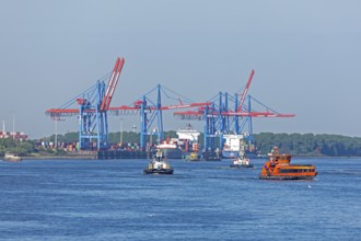 Tugboat, ferry, Burchardkai container terminal, Norderelbe, Hamburg, Germany, Europe