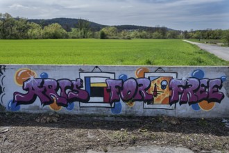 Graftti on a boundary wall of a vacant car dealership, Franconia, Bavaria, Germany, Europe