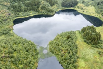 Aerial view of a lake with plants growing in a structure around a circle, near Digermulen on