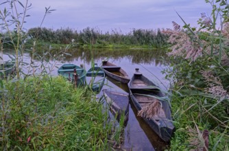 Fishing boat on a branch of the Narew in the Narew National Park in north-east Poland. Waniewo,