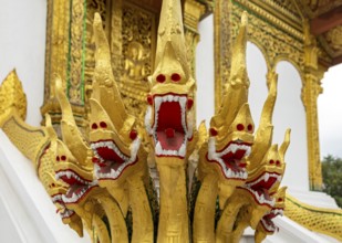 Naga at the steps of Wat Ho Pha Bang temple, Royal Palace, Luang Prabang, Laos, Asia