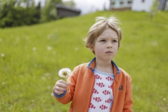 Four year old child with dandelions, Murnau, 19.05.2023