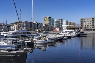 Willemdok, Jachthaven Antwerpen harbour basin, old harbour district, Het Eilandje of Antwerp,