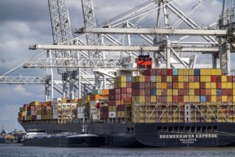 ECT Delta Container Terminal, in Europahaven, Bremerhaven Express container ship being loaded and